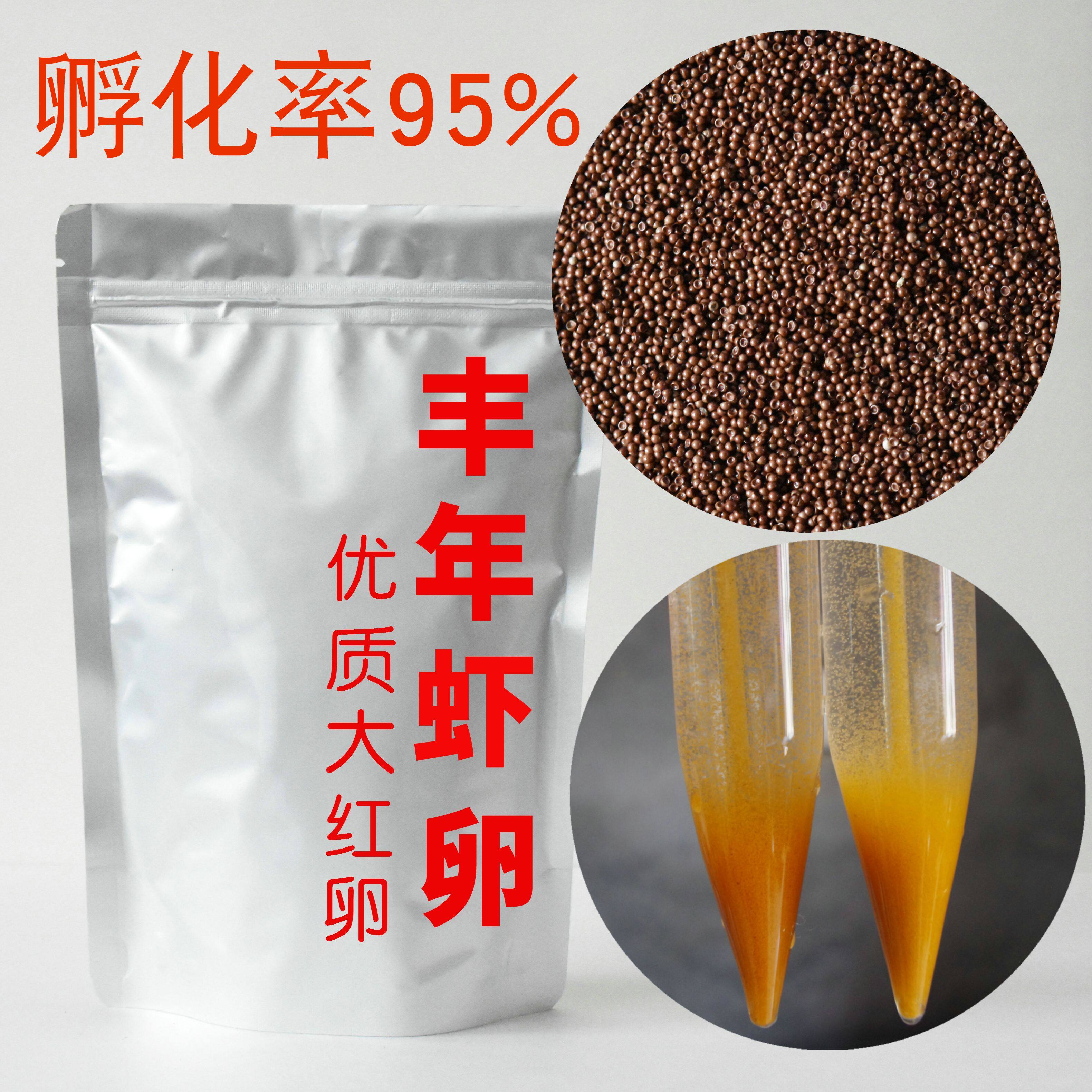 扬扬水族大红卵可孵化丰年虾卵精品卤虫卵 孵化率95%鱼苗开口饲料
