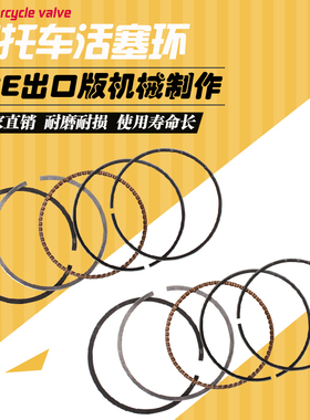 适用本田 铁马400 STEED VLX400 雷 BROS400 大蚂蚁 沙都 活塞环
