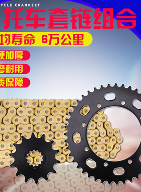 摩托车 适用川崎 KLE250 链轮 齿轮 牙盘 大小飞轮链盘 油封链条