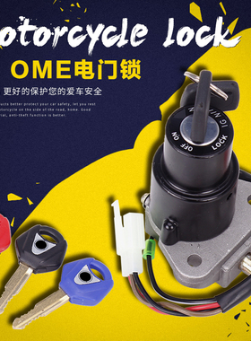 适用雅马哈FZR250/400海豚250 TZM150 TZR/250 TDR125 电门锁开关