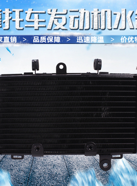 适用本田 龙犬 马格纳250水箱总成 蓝宝石水箱总成 水冷器 散热器