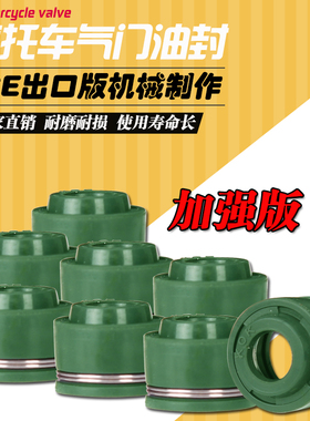 摩托车适用本田 Steed400 大蚂蚁 BO 铁马400 铁马600 气门油封