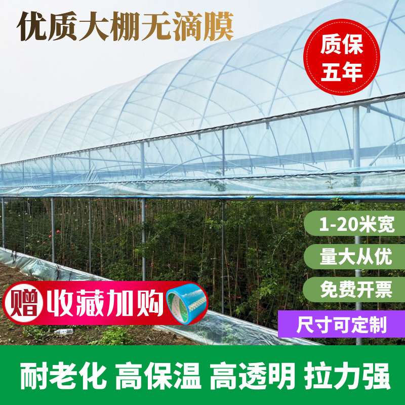 抗老化大棚塑料膜长寿透明加厚