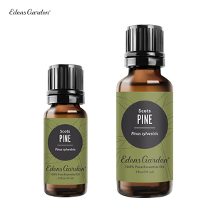 Garden 木质森林平静清爽芬芳 伊甸园 松树 单方精油 Pine Edens