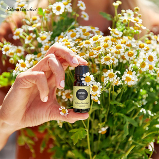 Copaiba 伊甸园 古巴香脂缓解肌肉关节酸痛单方精油 Garden Edens