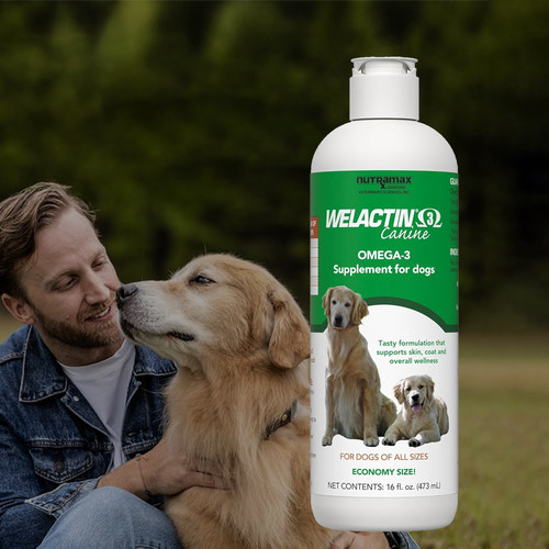 Nutramax-呵护皮肤毛发支持关节肾脏大脑健康狗狗专用Omega3鱼油