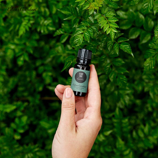 Sclarea单方精油 Sage快乐鼠尾草Salvia Edens Garden伊甸园Clary