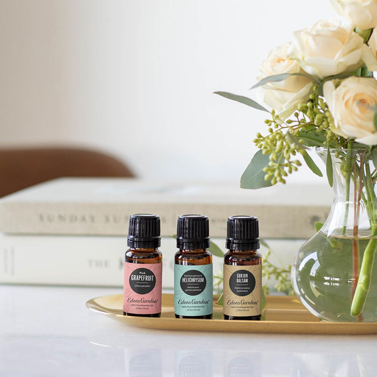 葡萄柚活力愉快友好Grapefruit