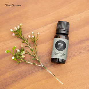 Garden 杜鹃花 伊甸园 杜香 烟熏胡椒香天然单方精油 Ledum Edens