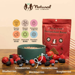 Natural Dog-Antioxidant蓝莓黑莓覆盆子增强健体狗狗营养颗粒