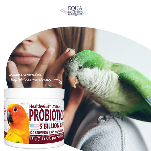 Equa Holistics-全天然缓解消化不良膳食补充剂 鹦鹉专用益生菌