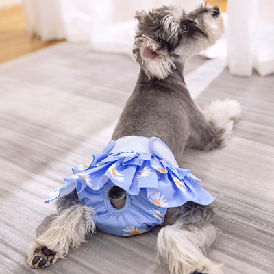 宠物生理裤母狗生理裤腰围可调节