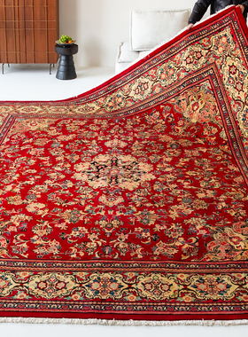视觉味道 伊朗Mahal手工羊毛地毯客厅进口高端欧美式波斯161890