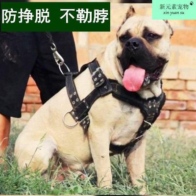 狗狗胸背带牵引绳小中大型犬防爆冲防逃脱伸缩胸背狗拉车训练用品