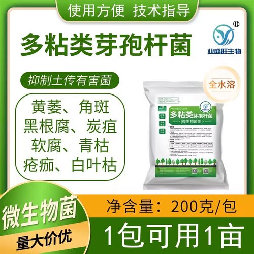 全水溶多粘芽孢杆菌枯萎病青枯病