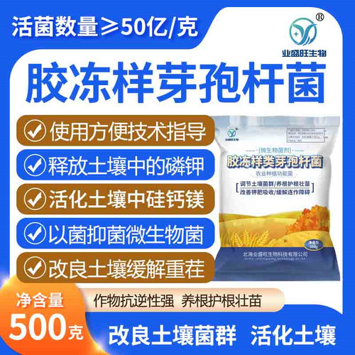 胶冻样芽孢杆菌业盛旺解磷解钾