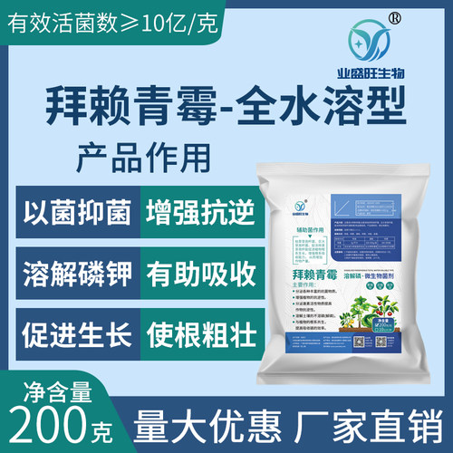拜赖青霉菌解磷抗逆抗重茬全水溶