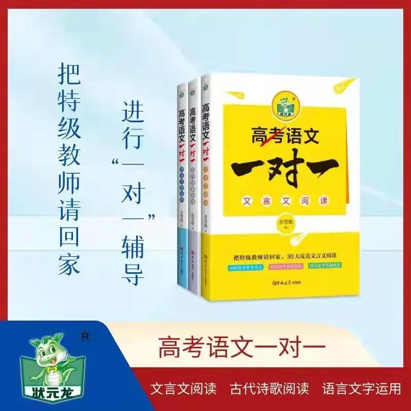 高考语文一对一文言文阅读语言