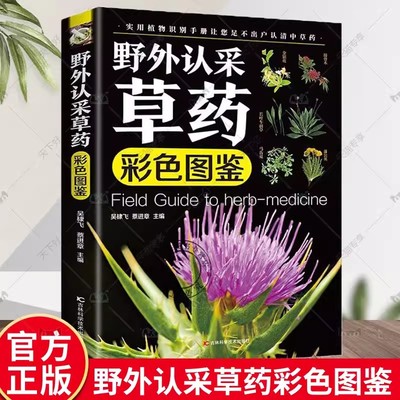 野外认采草药彩色图鉴图解中华汉方快速认药彩图全套中草药学野外识别应用彩色图鉴中草药彩图大全图解版草药材识别入门通俗易懂