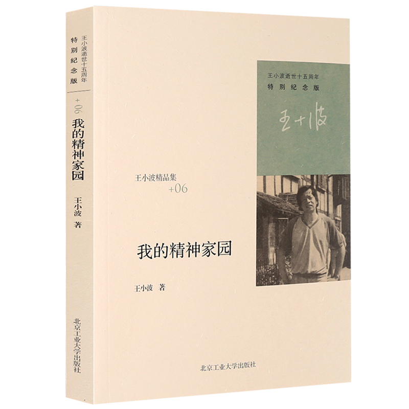 正版現貨 我的精神家園/王小波作品 王小波的書 隨筆散文集 中國當代文學作品散文 王小波逝世十周年特別紀念版 原版小說暢銷書籍