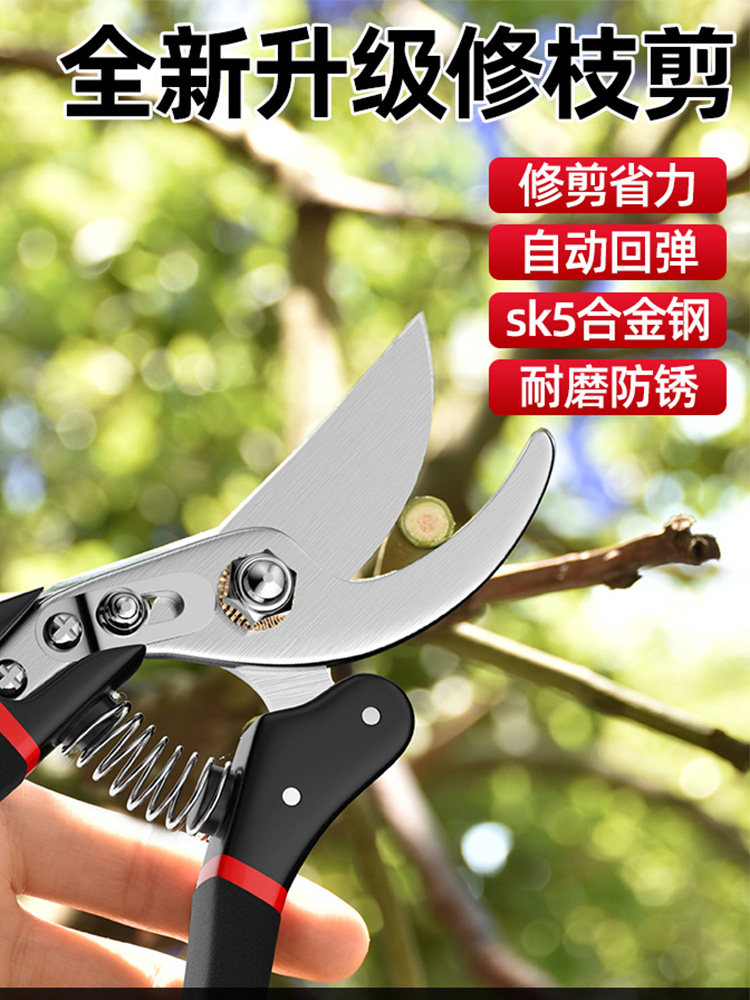 新款剪树枝专用剪刀园艺果树修枝剪sk5粗枝修花省力户外园林专用