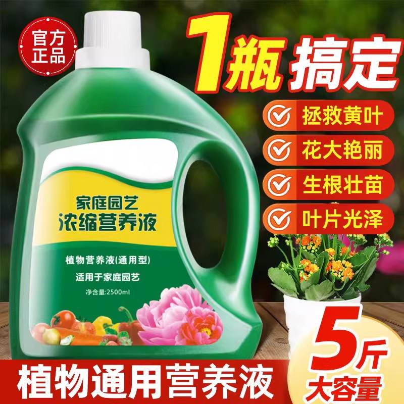植物营养液通用型家用养花卉黄金葛水培绿植多肉盆栽发财树液体肥