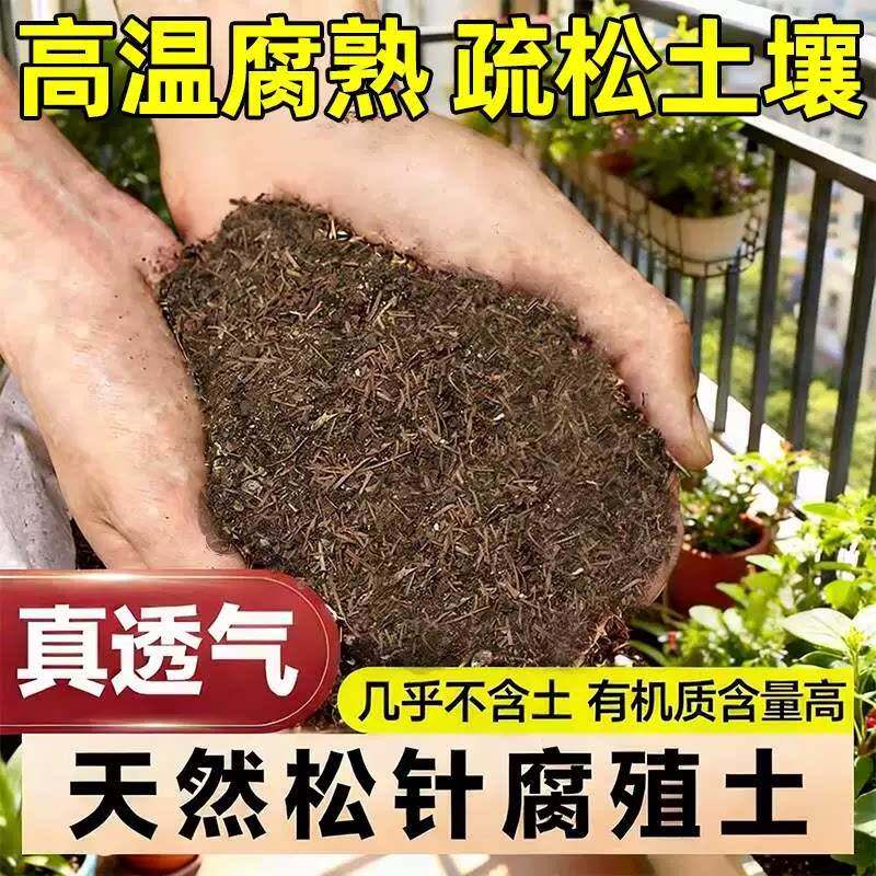 松针腐殖土天然腐叶腐熟纯君子兰花多肉泥炭营养土养花通用专用土