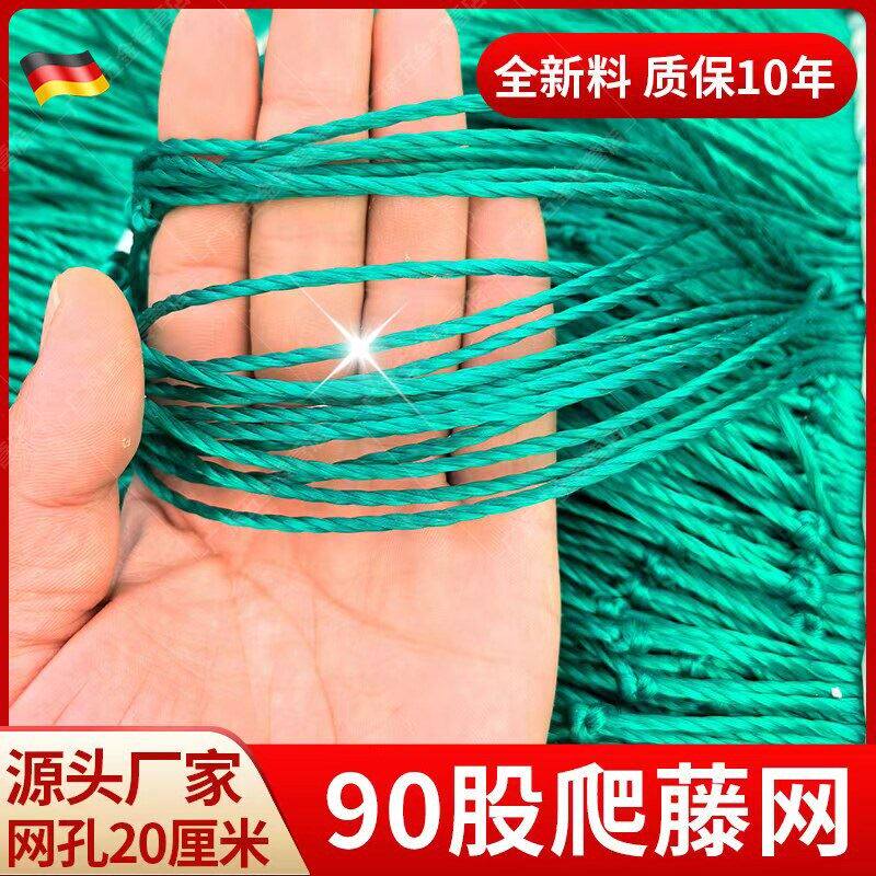 植物爬藤网攀援网园艺搭架网瓜果丝瓜苦瓜月季藤蔓花卉攀爬种植网
