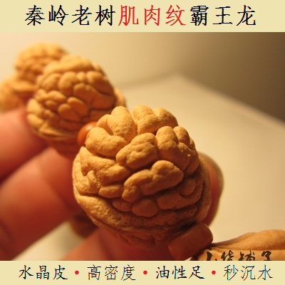 霸王龙纹桃核精品 秦岭野生桃胡正圆男手串非矮桩 精挑老树霸王龙