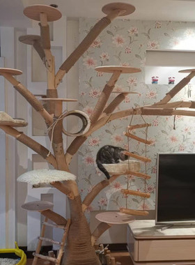 网红猫架子猫树一体猫窝大型麻绳爬架子猫抓柱子四季通用