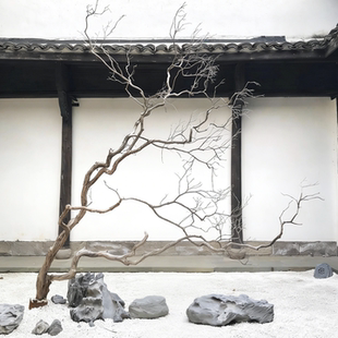 天然枯树装饰树庭院原木景观枝干造景天然枯木室内外大型造型树