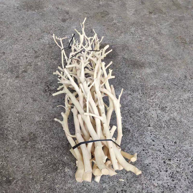 龙骨树枝扒皮龙骨枝干自然枯树造型白树枝树杈干橘子树干装饰