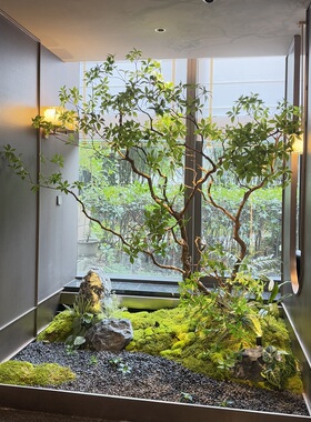 精品仿真绿植马醉木假树装饰大厅橱窗假植物造景大型摆件景观装饰