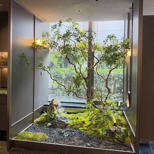 精品仿真绿植马醉木假树装饰大厅橱窗假植物造景大型摆件景观装饰