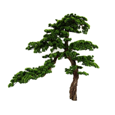 假树景观玄关装饰禅意枯山迎客松