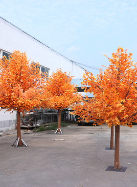 仿真胡杨树秋季装饰假树白桦树黄色造景树庭院商场装饰仿真树景观