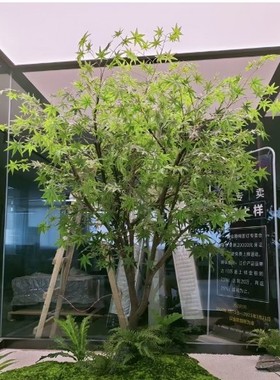 仿真青枫树大型落地绿植仿真植物造景简约景观布置假树仿真树装饰