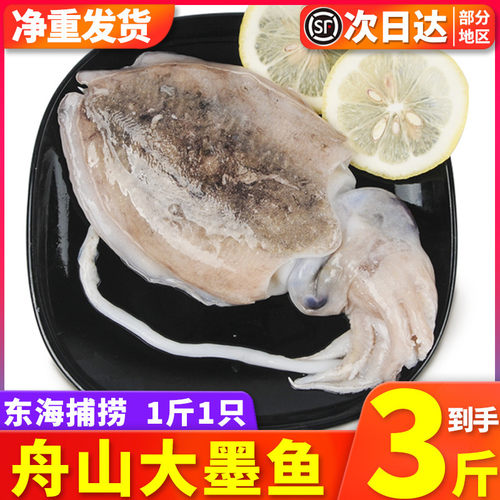 3斤舟山东海野生墨鱼鲜活海鲜