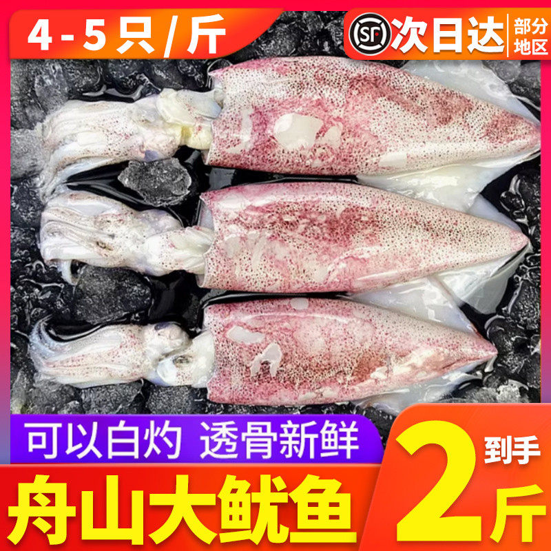 2斤舟山鱿鱼3-4只/斤透骨新鲜