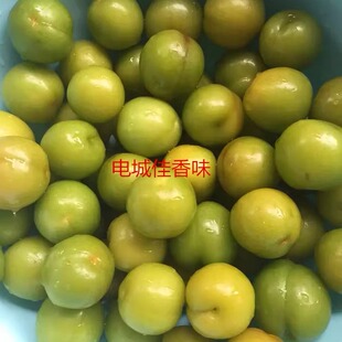 三月李四月青李新鲜李子非山华李孕妇水果酸甜可口现摘现发 开胃