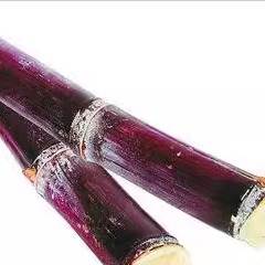 广东黑皮甘蔗1斤新鲜水果脆甜多汁应当季孕妇甜杆果蔗整箱特产