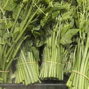 新鲜佛手瓜尖龙须菜捧瓜尖蔬菜嫩尖凉拌菜500克