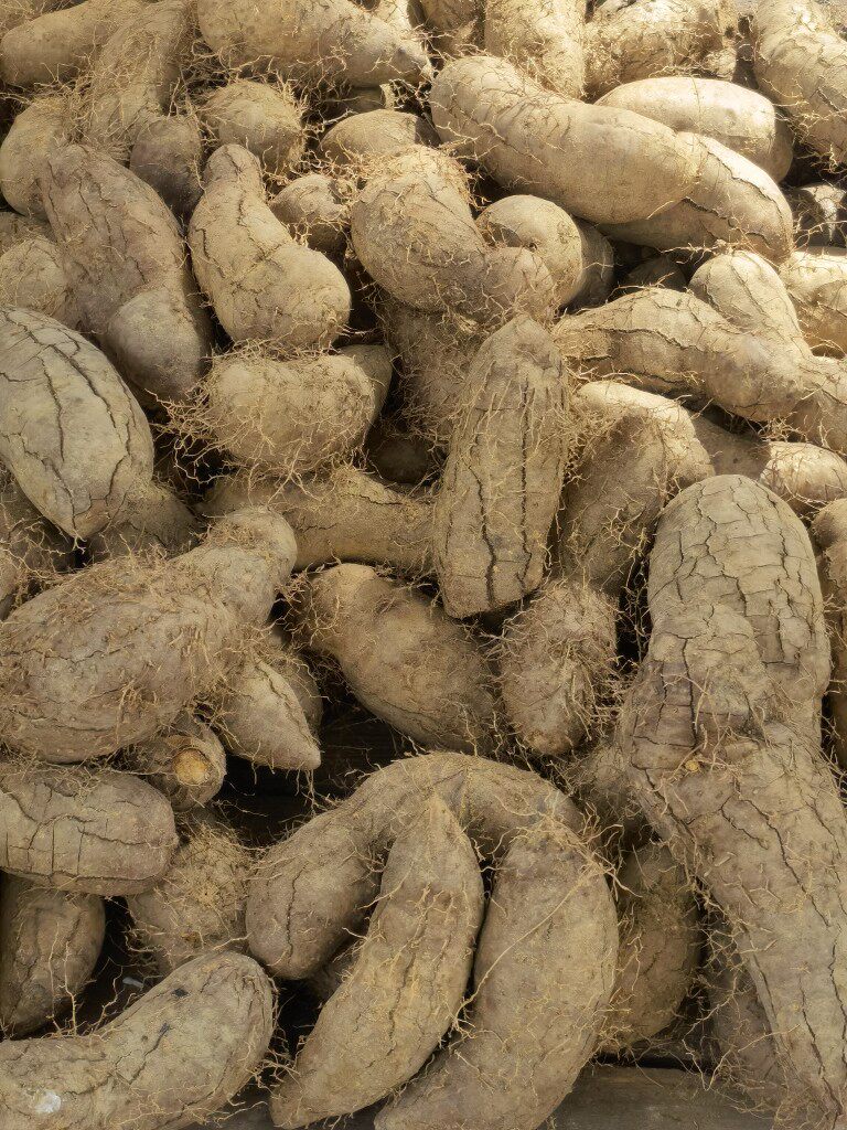 新鲜猪仔薯毛薯甜薯广东农家特产粉薯5斤新鲜现挖现发5斤