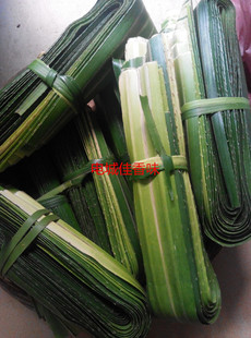 新鲜粽子叶露兜芦兜罗鼓仔山野菠萝树叶胶古勒古叶簕古锣鼓绞交古