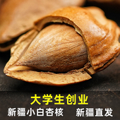 新疆特产零食坚果库车开口手剥小银杏品质小白杏核500g特价 包邮