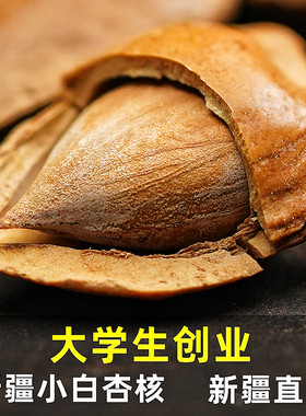 新疆特产坚果新疆特产零食坚果库