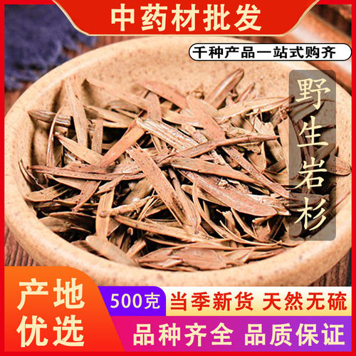 同仁堂品质岩杉新货无硫熏三尖杉狗尾松叶中药材500克g可免费磨粉