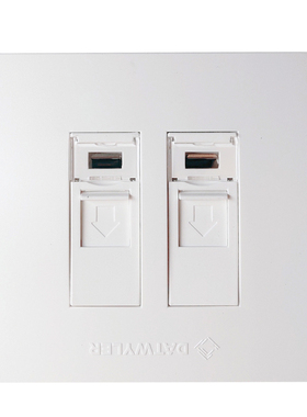 德特威勒 TW848-F86-2KSWH 86型面板双口平口面板|2孔网络 兼容Keystone模块 白色