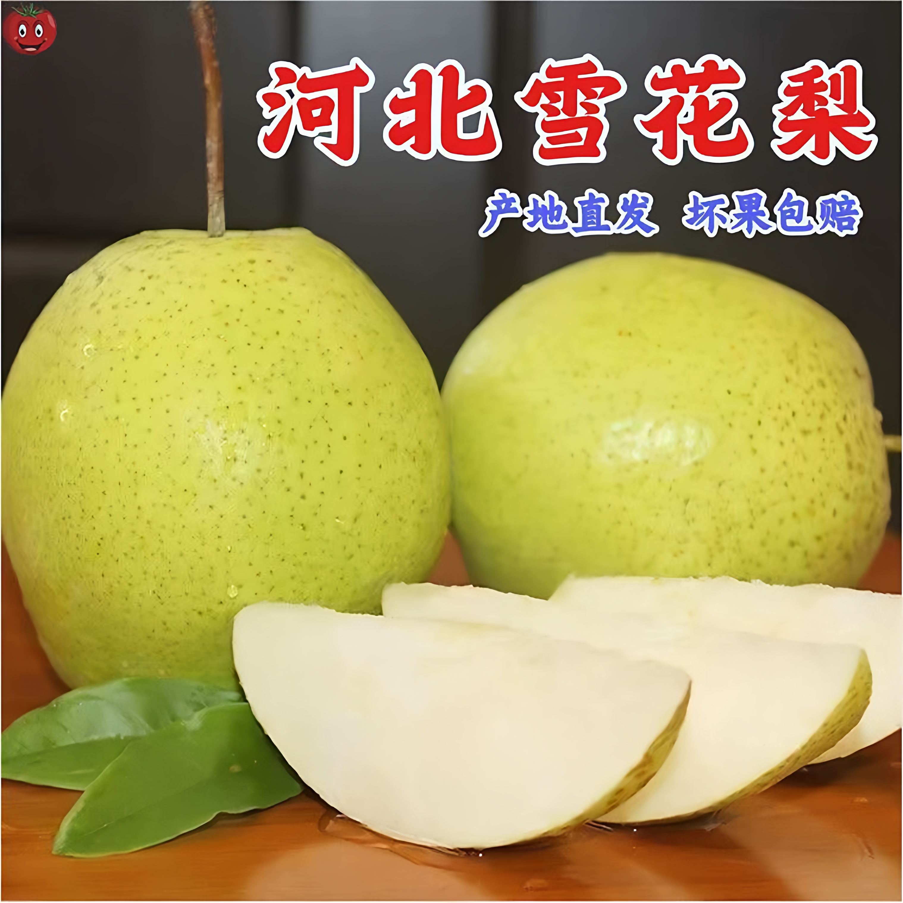 河北正宗雪花梨新鲜水果现摘现发