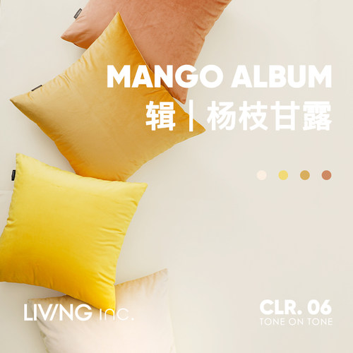 LIVINGinc.芝士奶酪天鹅绒抱枕